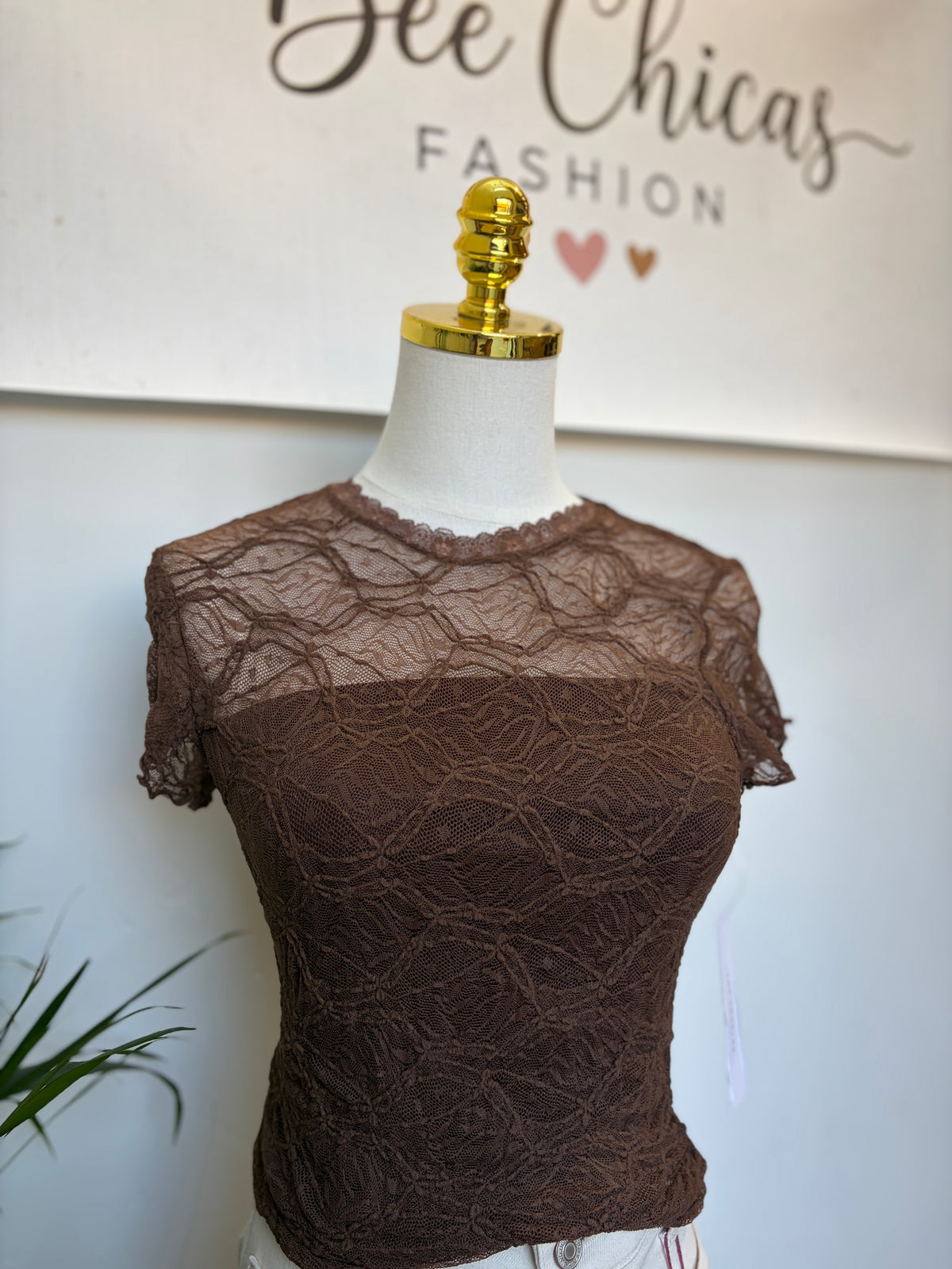 Lace Detail Brown Short Sleeve