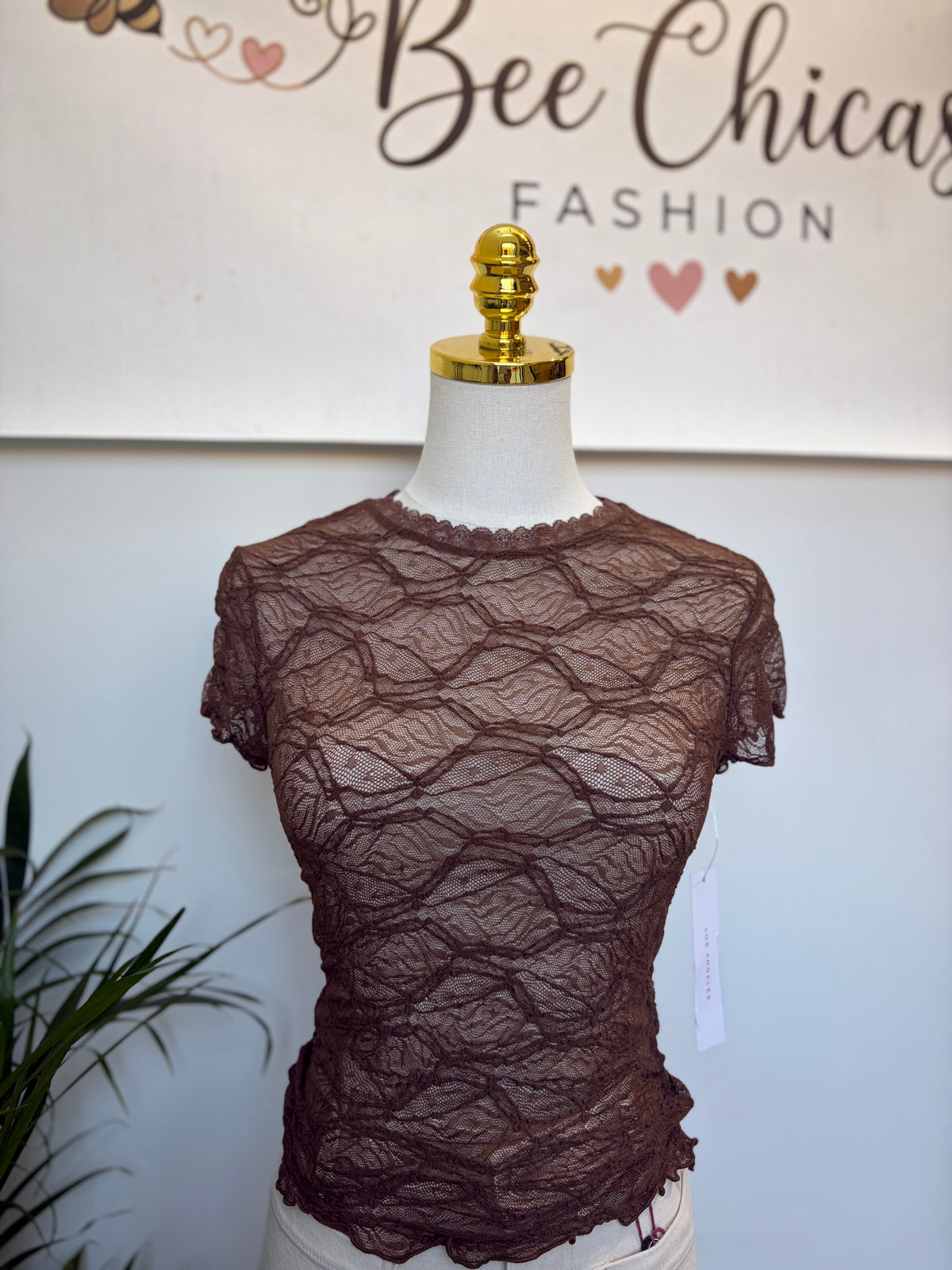 Lace Detail Brown Short Sleeve