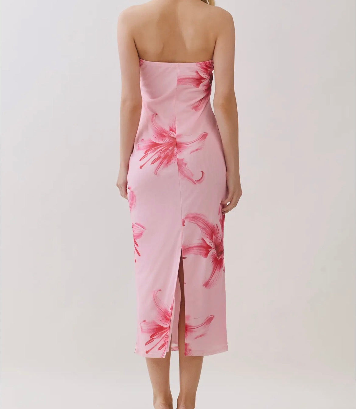 Blush Mesh Maxi dress