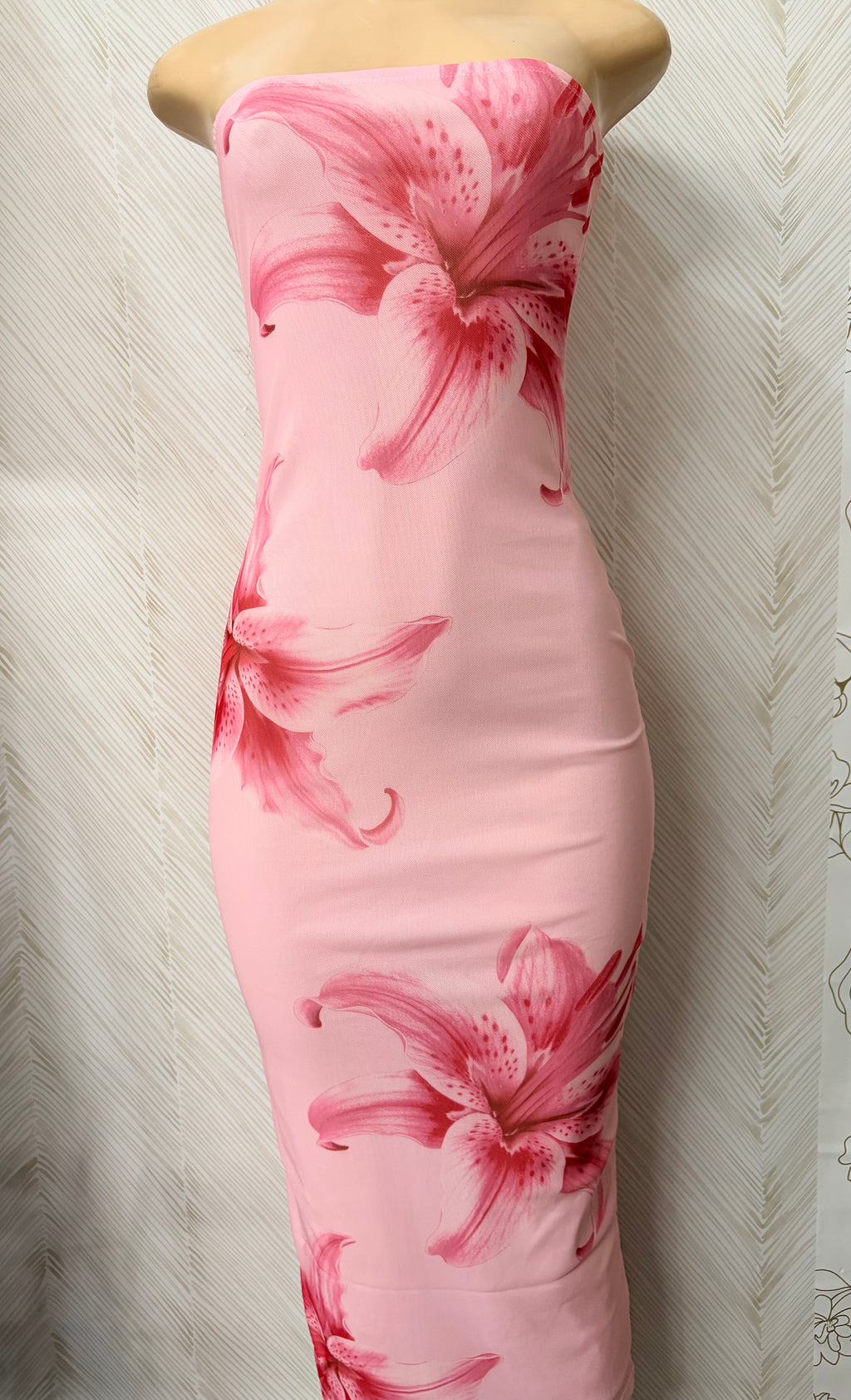 Blush Mesh Maxi dress