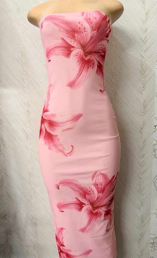 Blush Mesh Maxi dress