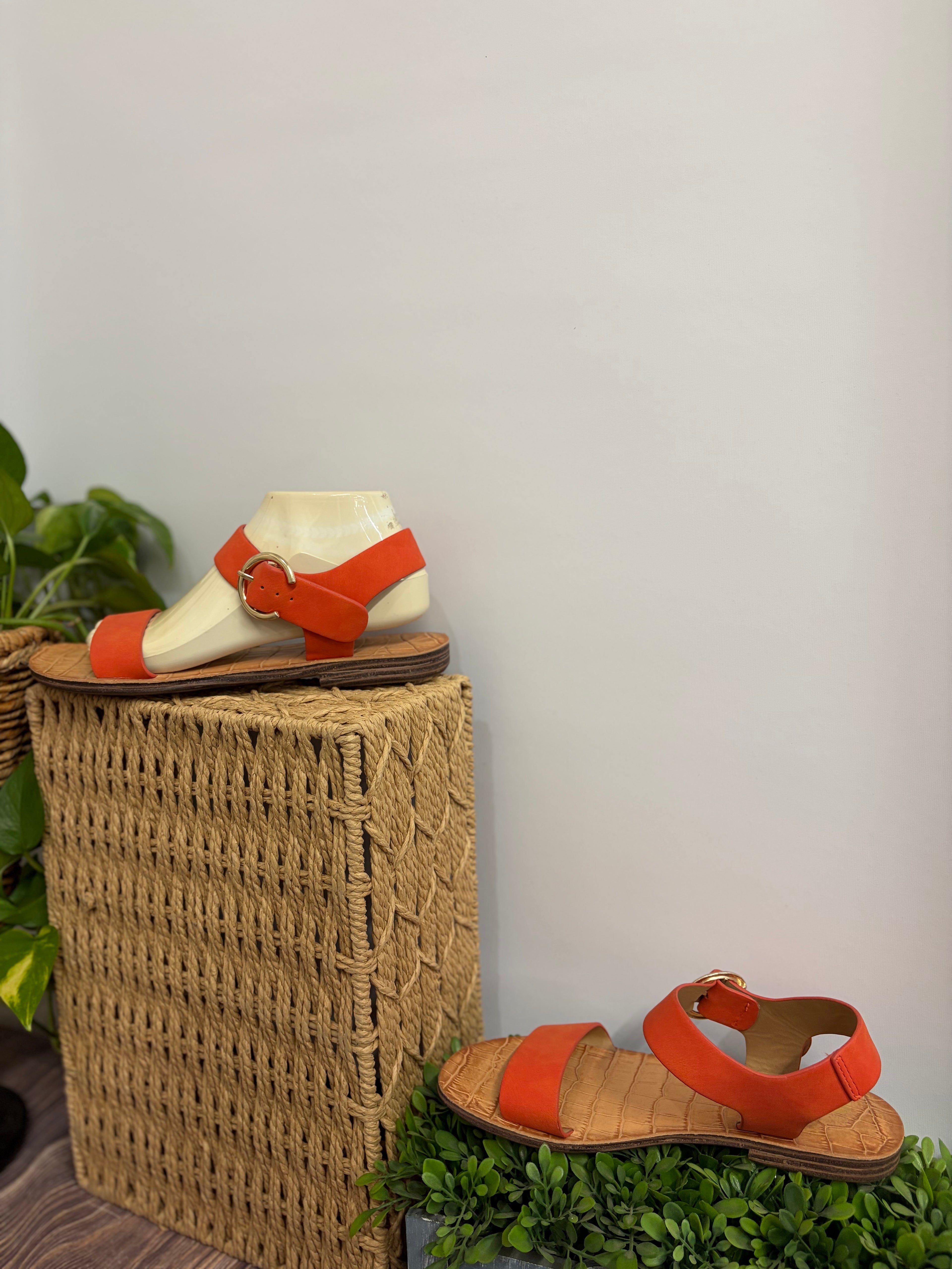 Orange Back Gold Buckle Sandal